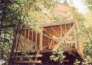 The skeleton of the cabin, showing floor joists, box frame, and rafters.